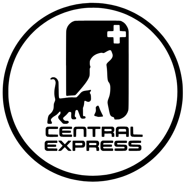 Central Express Logo
